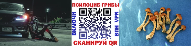 Галлюциногенные грибы Psilocybine cubensis  Купить закладки  Кириллов 