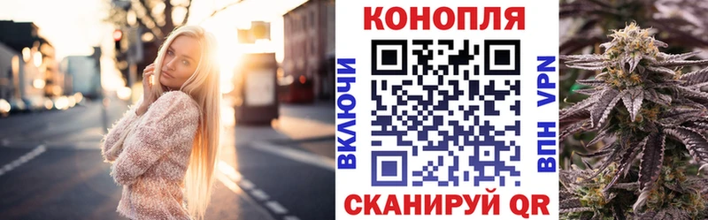 Канабис OG Kush  Купить где  Кириллов 